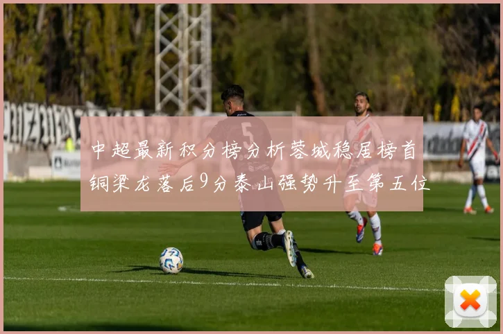 中超最新积分榜分析蓉城稳居榜首铜梁龙落后9分泰山强势升至第五位津门虎积分清零