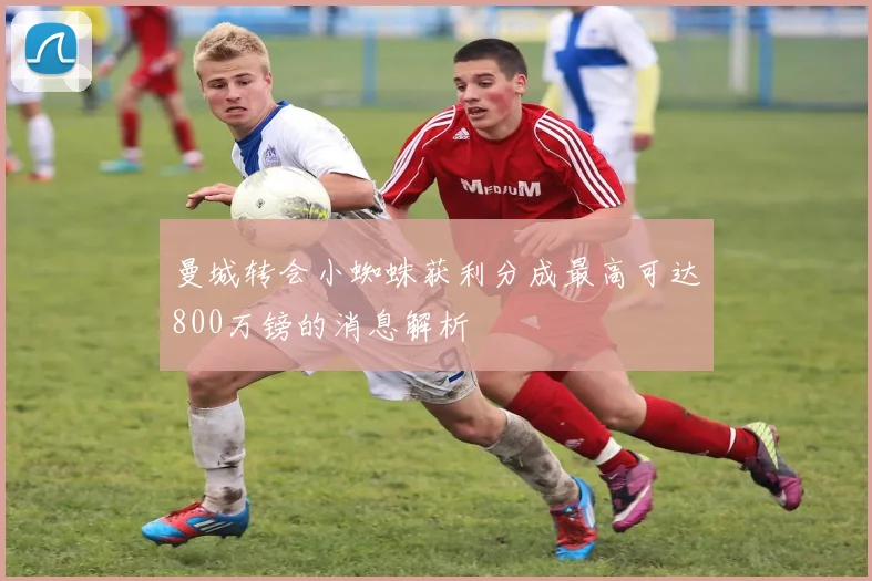 曼城转会小蜘蛛获利分成最高可达800万镑的消息解析