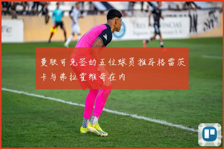 曼联可免签的五位球员推荐格雷茨卡与弗拉霍维奇在内