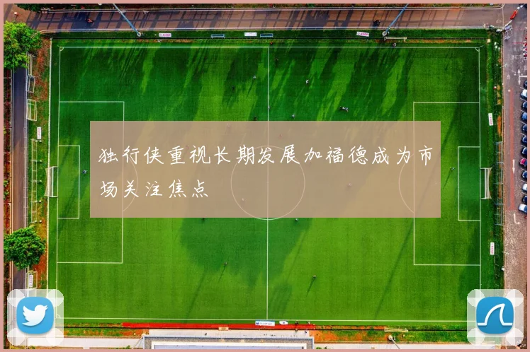 独行侠重视长期发展加福德成为市场关注焦点